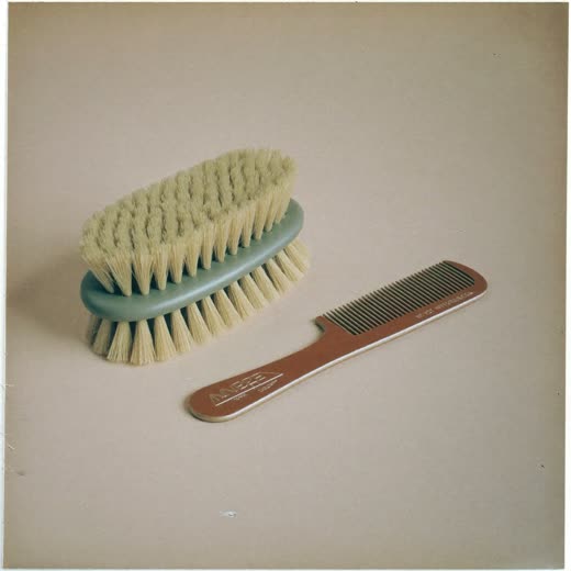 A grooming brush and comb